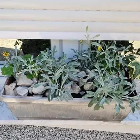 House Lorenco, Villa *